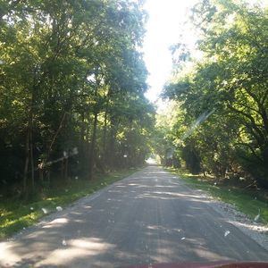 Meet your Posher, Brandy